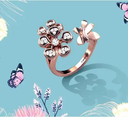 butterFlyCollection
