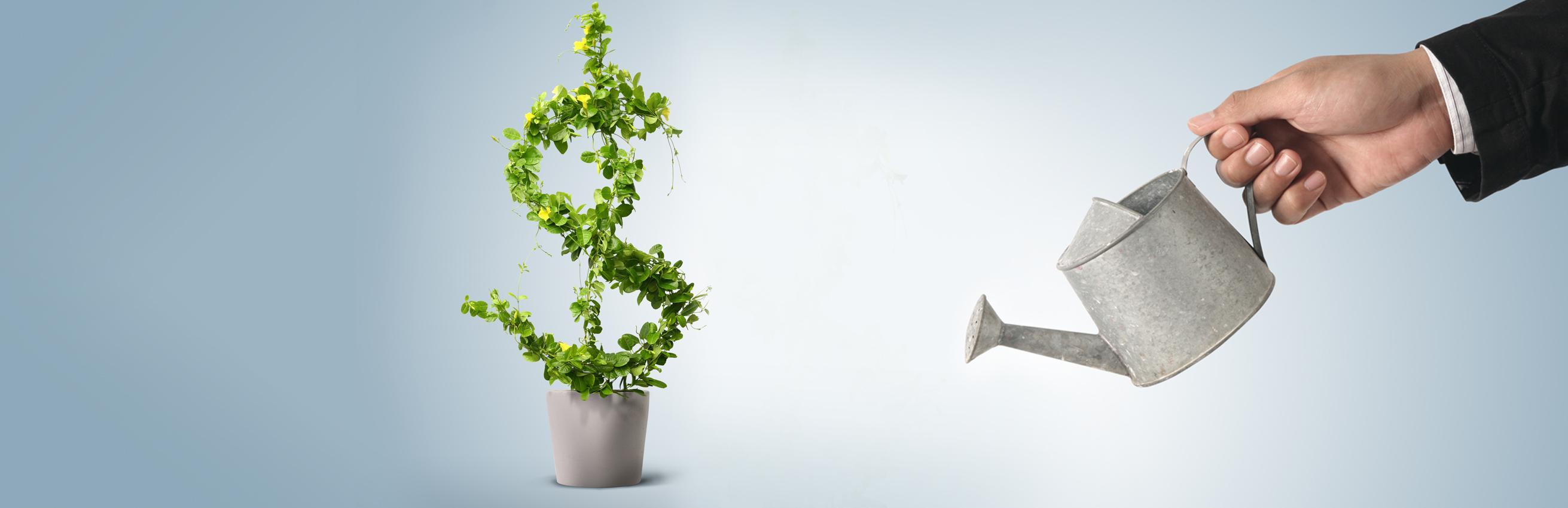 Investor Relations