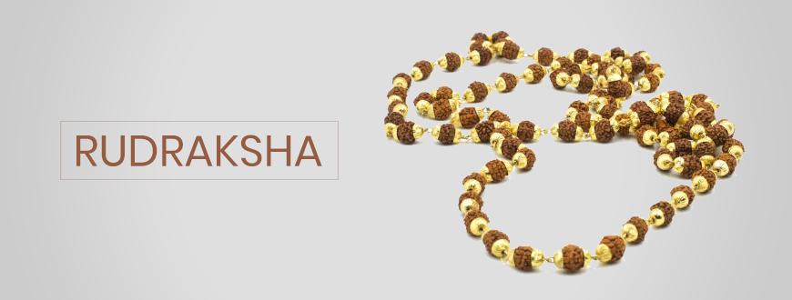 rudraksha